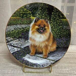 Danbury Mint Dog Collector’s Plate Pom in Bloom Pomeranian by B. Higgins Bond
